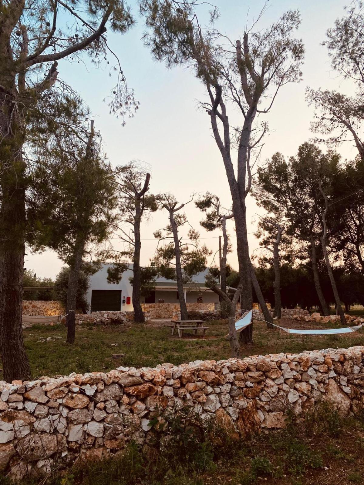B&B Quasimare Porto Cesareo Eksteriør billede