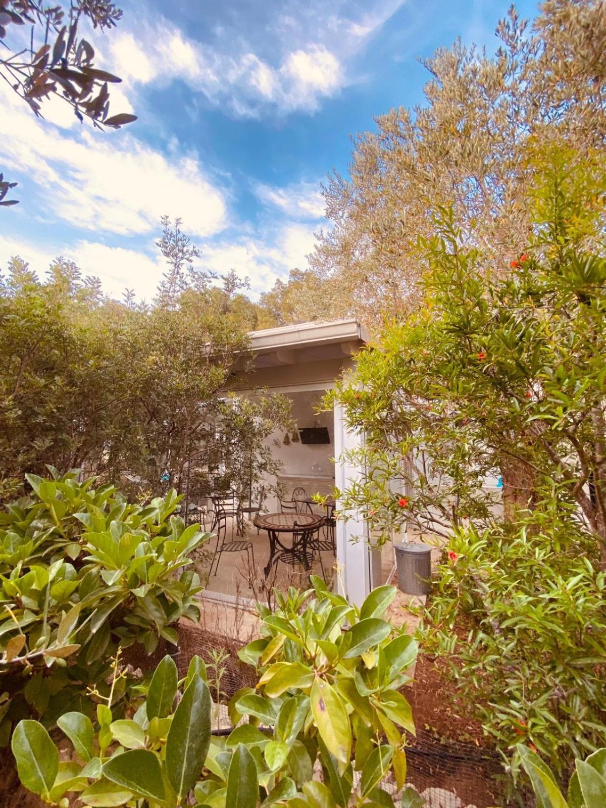 B&B Quasimare Porto Cesareo Eksteriør billede