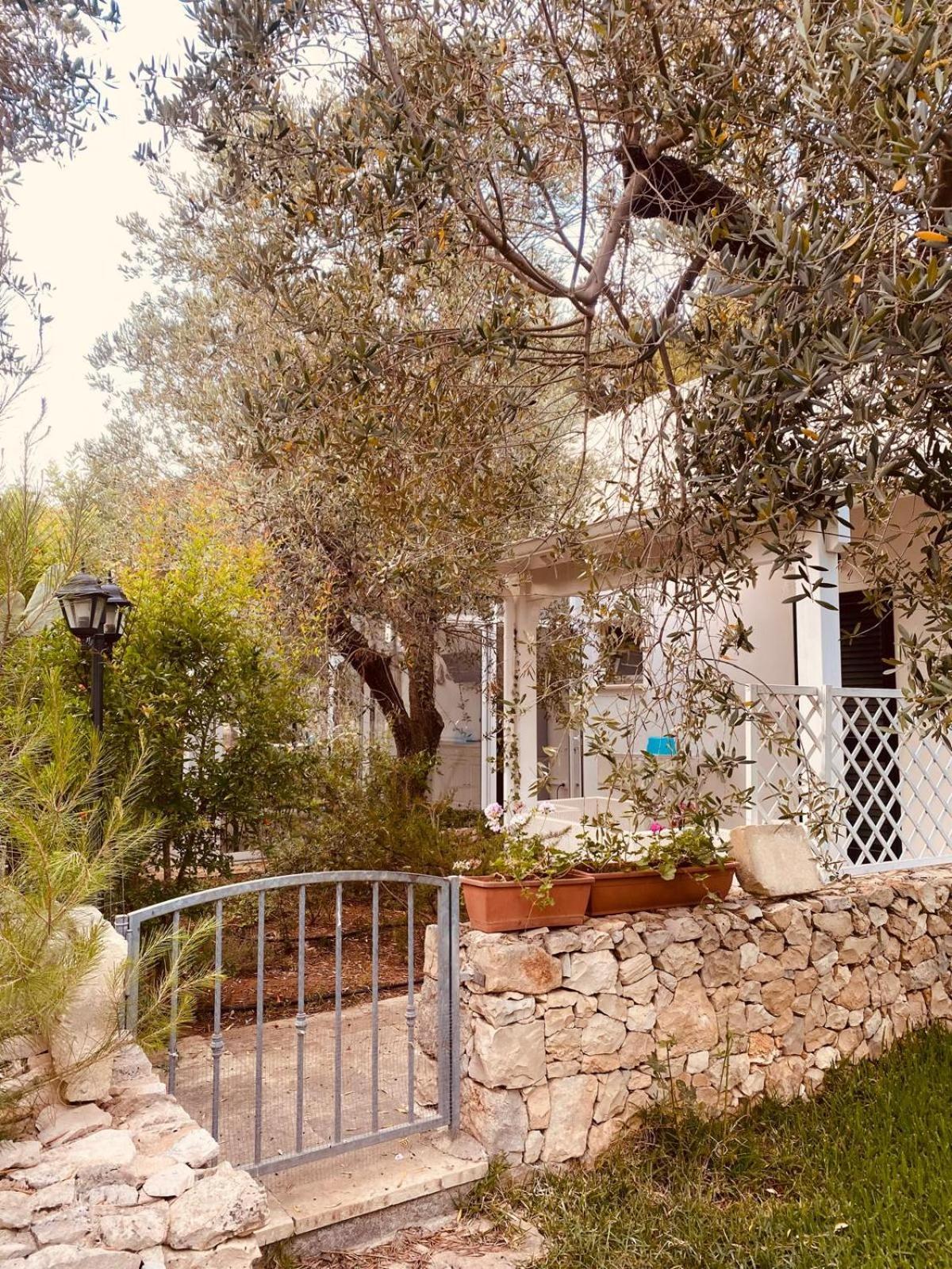 B&B Quasimare Porto Cesareo Eksteriør billede