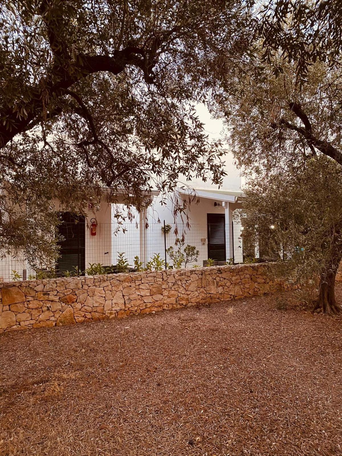 B&B Quasimare Porto Cesareo Eksteriør billede